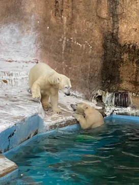 天王寺動物園に投稿された画像（2021/12/4）
