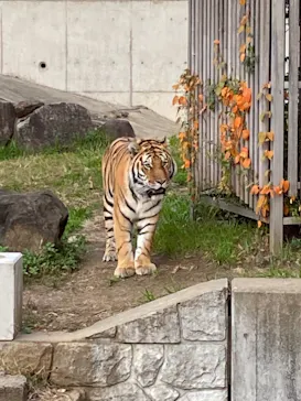 天王寺動物園に投稿された画像（2021/12/4）