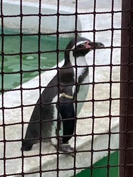 天王寺動物園に投稿された画像（2021/12/4）