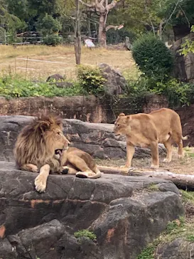 天王寺動物園に投稿された画像（2021/12/4）