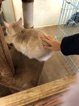 那須どうぶつ王国に投稿された画像（2021/12/4）