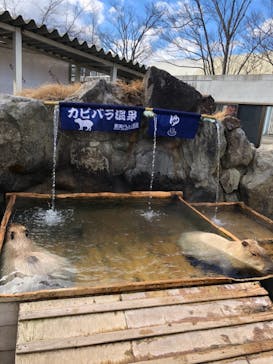 那須どうぶつ王国に投稿された画像（2021/12/4）