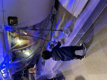 新江ノ島水族館に投稿された画像（2021/12/4）