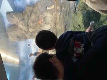 新江ノ島水族館に投稿された画像（2021/12/4）