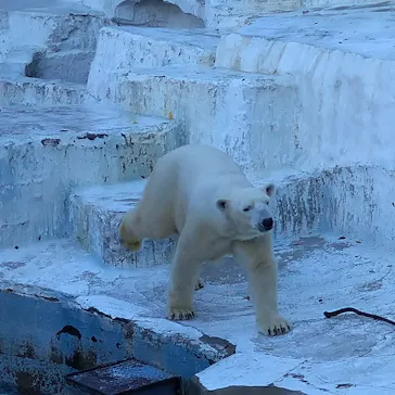天王寺動物園に投稿された画像（2021/12/4）