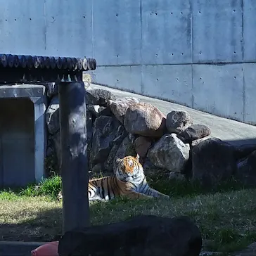 天王寺動物園に投稿された画像（2021/12/4）