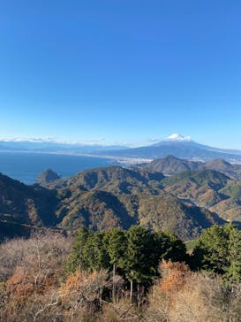 伊豆パノラマパークに投稿された画像（2021/12/4）