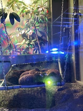 サンシャイン水族館に投稿された画像（2021/12/4）