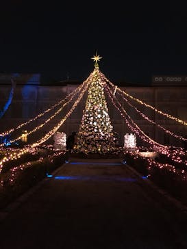 星の王子さまミュージアム 箱根サン=テグジュペリに投稿された画像（2021/12/4）