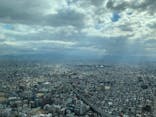 ハルカス300(展望台)に投稿された画像（2021/12/4）