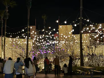 ひらかたパークに投稿された画像（2021/12/4）