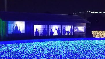 東京メガイルミに投稿された画像（2021/12/4）