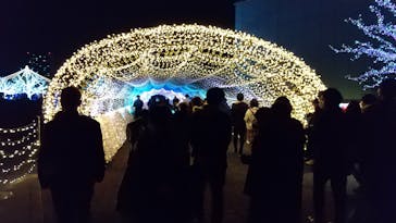 東京メガイルミに投稿された画像（2021/12/4）