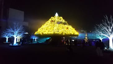 東京メガイルミに投稿された画像（2021/12/4）