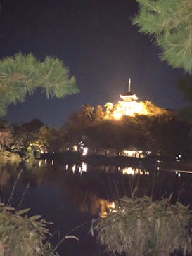 三溪園に投稿された画像（2021/12/4）