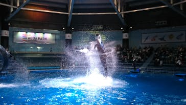 マクセル アクアパーク品川に投稿された画像（2021/12/4）