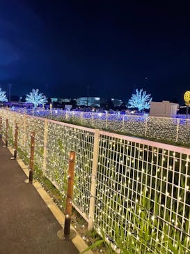 東京メガイルミに投稿された画像（2021/12/4）