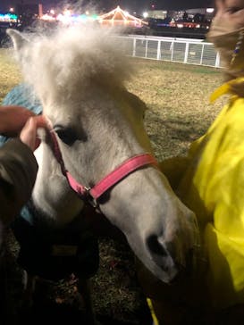 東京メガイルミに投稿された画像（2021/12/4）