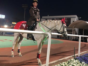 東京メガイルミに投稿された画像（2021/12/4）