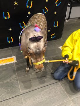 東京メガイルミに投稿された画像（2021/12/4）