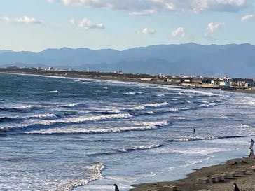 新江ノ島水族館に投稿された画像（2021/12/4）