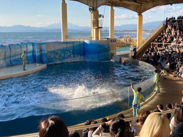 新江ノ島水族館に投稿された画像（2021/12/4）
