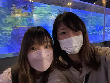 すみだ水族館に投稿された画像（2021/12/4）