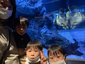 すみだ水族館に投稿された画像（2021/12/4）