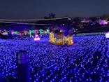 伊豆ぐらんぱる公園に投稿された画像（2021/12/4）