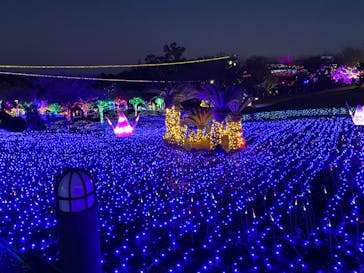 伊豆ぐらんぱる公園に投稿された画像（2021/12/4）