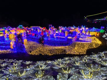 伊豆ぐらんぱる公園に投稿された画像（2021/12/4）