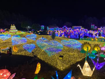 伊豆ぐらんぱる公園に投稿された画像（2021/12/4）