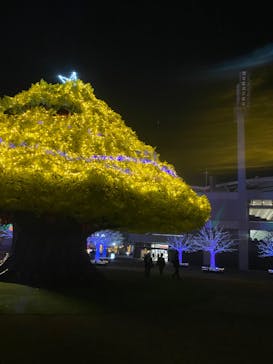 東京メガイルミに投稿された画像（2021/12/4）