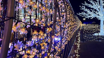 東京メガイルミに投稿された画像（2021/12/4）