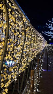 東京メガイルミに投稿された画像（2021/12/4）