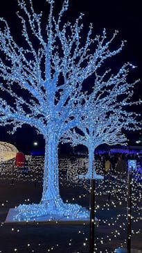 東京メガイルミに投稿された画像（2021/12/4）