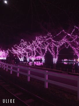 東武動物公園に投稿された画像（2021/12/4）