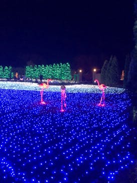 東武動物公園に投稿された画像（2021/12/4）