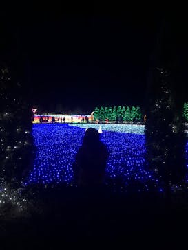 東武動物公園に投稿された画像（2021/12/4）