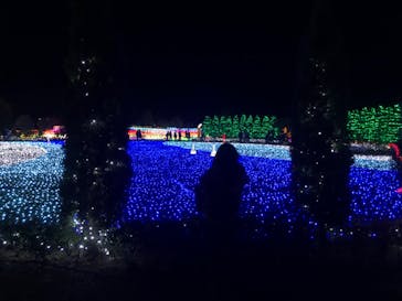 東武動物公園に投稿された画像（2021/12/4）