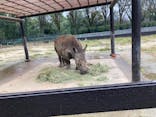 東武動物公園に投稿された画像（2021/12/4）