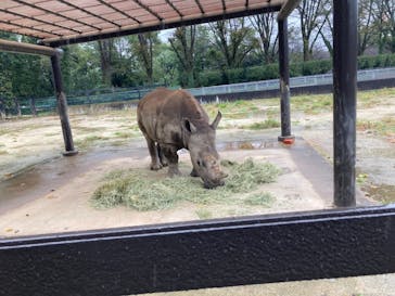 東武動物公園に投稿された画像（2021/12/4）