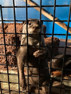 東武動物公園に投稿された画像（2021/12/4）