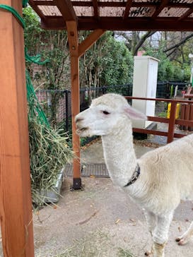 東武動物公園に投稿された画像（2021/12/4）