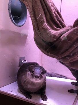 マクセル アクアパーク品川に投稿された画像（2021/12/4）