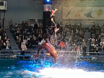 マクセル アクアパーク品川に投稿された画像（2021/12/4）