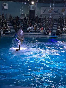 マクセル アクアパーク品川に投稿された画像（2021/12/4）