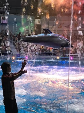 マクセル アクアパーク品川に投稿された画像（2021/12/4）