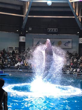 マクセル アクアパーク品川に投稿された画像（2021/12/4）