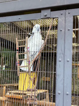 天王寺動物園に投稿された画像（2021/12/4）